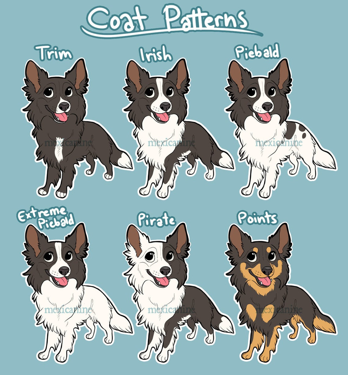 ボーダー(Border Collie)ステッカー – Chokonen Co. Ltd.