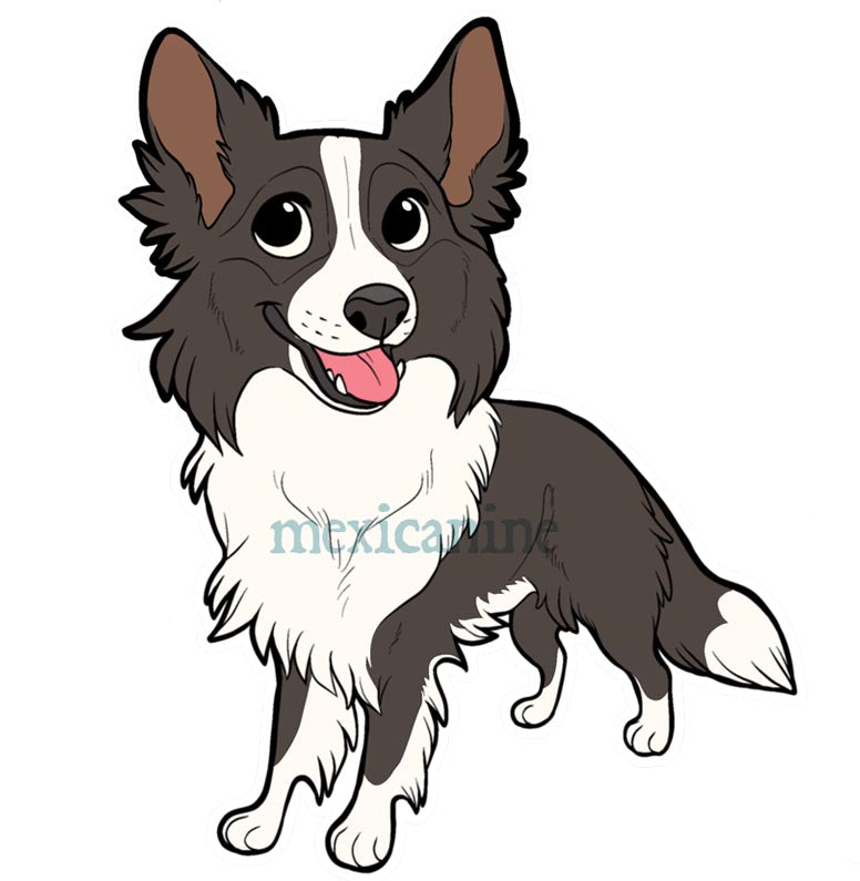 ボーダー(Border Collie)ステッカー – Chokonen Co. Ltd.